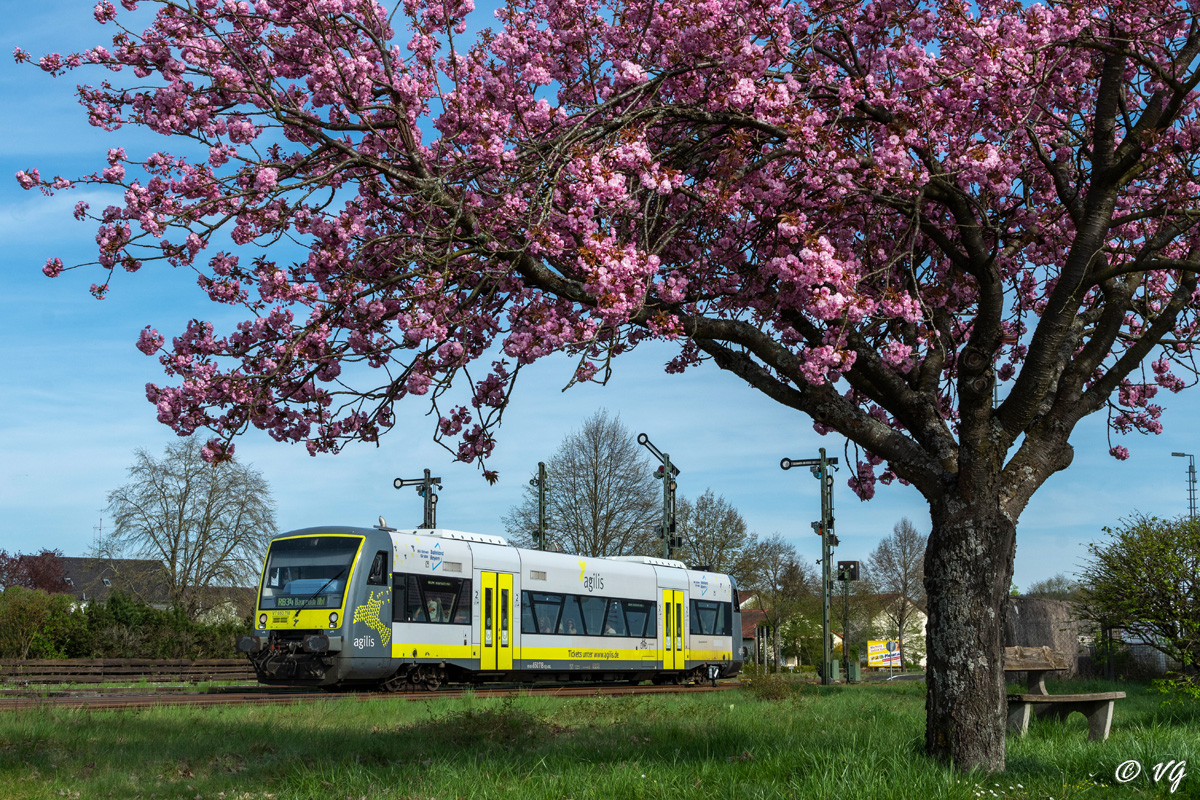 Durchs erste Halbjahr 24